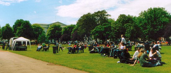 Hanging out in the park